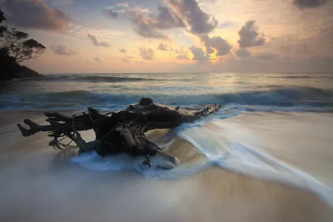 浮木,身体,水,海岸,漂流,木材,海滩,沙子 浮木,身体,水,海岸,漂流,木材,海滩,沙子