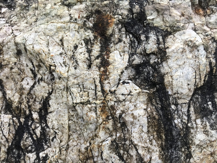 岩石，树，植物，树干，美国，9809第225大道东北，雷德蒙，纹理