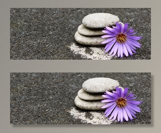 近景、照片、紫色、花瓣花、石头、装饰石、装饰品、装饰