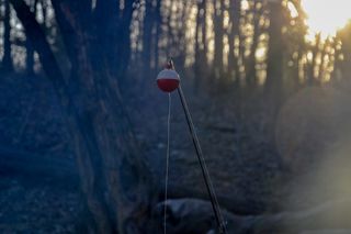 克林顿湖，美国，森林，露营，黄昏，日落，钓鱼，劳伦斯堪萨斯州