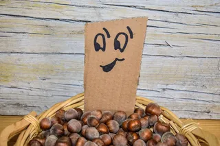 表情符号，笑脸，榛子，表情符号，笑脸，快乐，有趣，表情