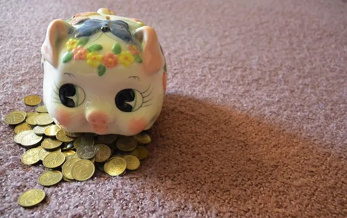金色硬币，小猪，卢布，便士，科佩克，硬币，俄罗斯，一把