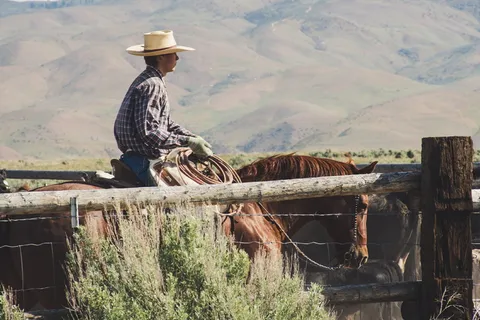 一个人骑马的摄影