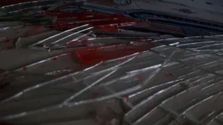 玻璃，碎片，破碎，破碎玻璃，玻璃破碎，切割，危险，毁坏