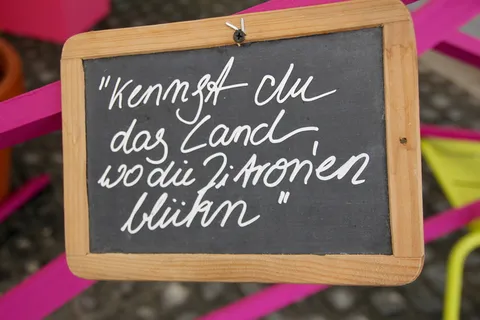 盾，粉笔字体，知道，你，土地，地方，柠檬