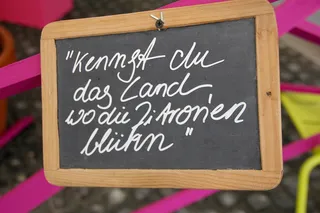 盾，粉笔字体，知道，你，土地，地方，柠檬