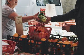 法国、蒙彼利埃、莱阿尔索、蔬菜、生产者、销售者、商业、展示