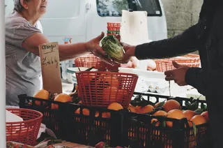 法国、蒙彼利埃、莱阿尔索、蔬菜、生产者、销售者、商业、展示