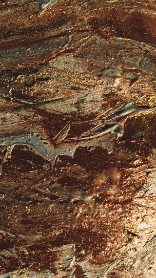 背景、全框架、无人、图案、自然、纹理、特写、树