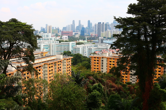新加坡，hdb，南岭，建筑外观，树木，建筑结构，建筑，工厂