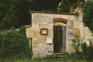 法国，瓦兹河畔奥弗斯，瓦兹河畔奥弗斯，向日葵，树木，自然，梵高，欧洲