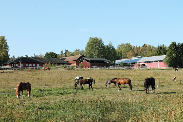 芬兰，埃斯波，莱普瓦拉骑术学校（leppävaaran Ratsasstuskoulu），历史，马厩，莱普瓦拉，风景，景观