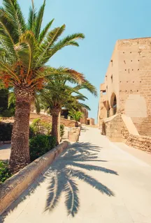 西班牙，马拉加，棕榈树，棕榈树，树叶，绿色，石头，大理石