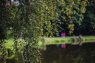 公园里阳光明媚的一天