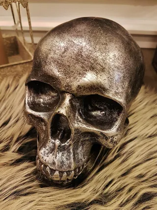 头骨、框架、脸、肖像、万圣节、特写、室内、无人