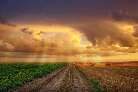风景,日落,天空,云,田野,自然,光,太阳 风景,日落,天空,云,田野,自然,光,太阳