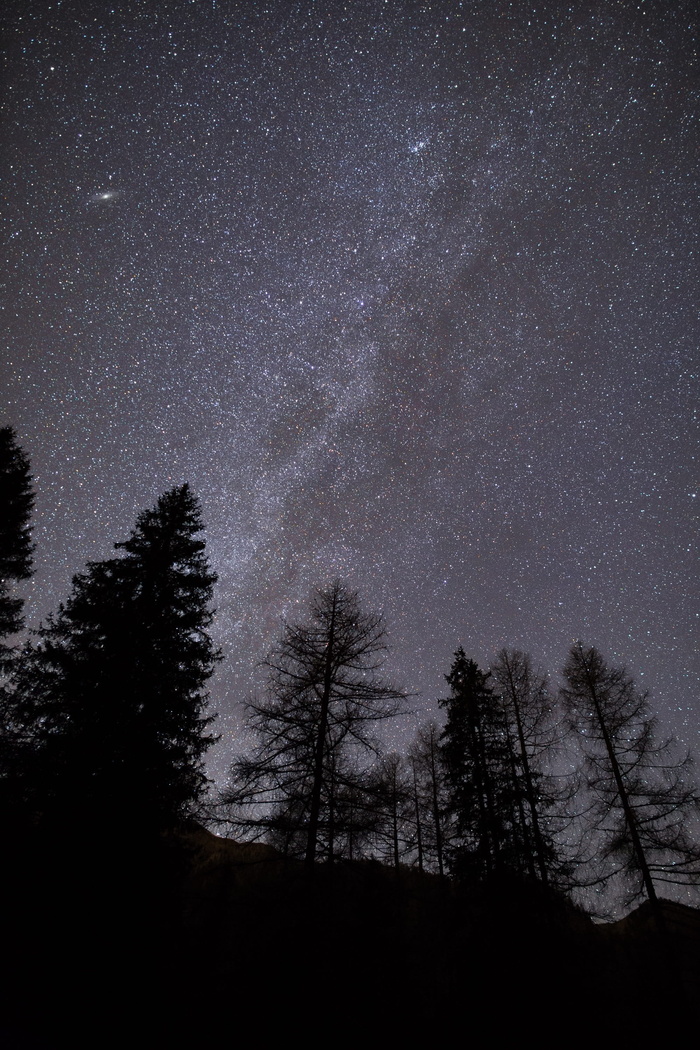 星星，黑暗，夜晚，星座，自然，天体摄影，树木，森林