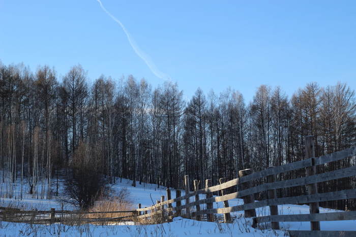 景观、自然、instagram、度假、低温、冬季、雪、树木