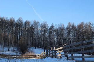 景观、自然、instagram、度假、低温、冬季、雪、树木