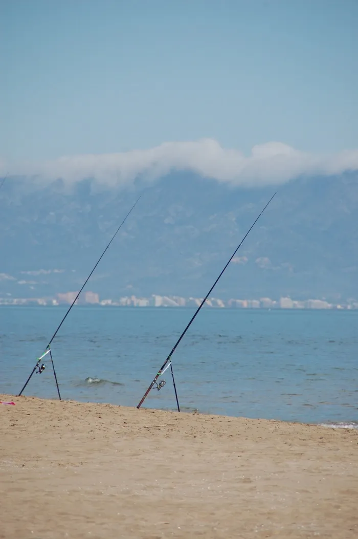 钓鱼，大海，平静，耐心，水，天空，风景-自然，自然之美