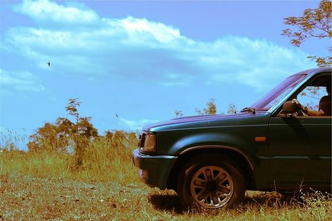 蓝色，汽车，停车，草地，绿色，草地，卡车，suv