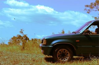 蓝色，汽车，停车，草地，绿色，草地，卡车，suv