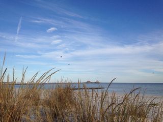 墨西哥湾沿岸, 海滩, 海燕麦, 海洋, 海, 水, 海湾, 海滨