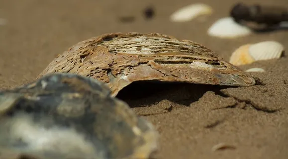 英国，斯旺西，沙子，深度，阳光，海滩，灰尘，质地