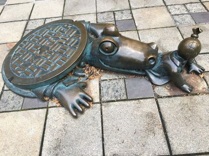 老，街头，石头，鳄鱼，银行家，金钱，贪婪，高角度观察