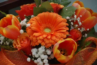 花, 鲜花花束, 多彩, 开花植物, 厂, 新鲜, 漏洞, 花头