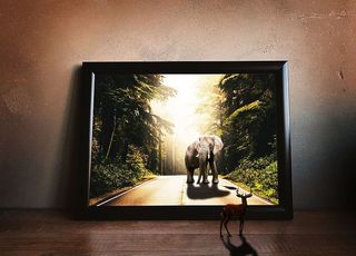 打开、黑色、数字、相框、显示、大象、动物、超现实主义