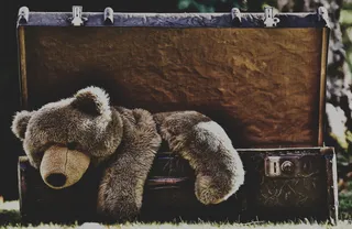 行李，古董，泰迪，乌贼墨，软玩具，填充动物，玩具，旧