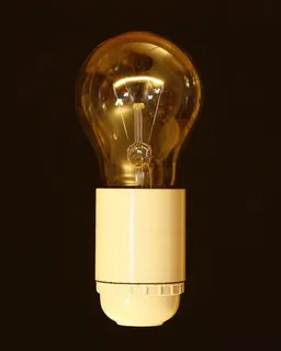 白炽灯泡 白炽灯泡