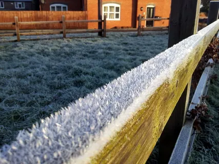 霜冻、冬季、寒冷、白色、雪、冰冻、天气、泽