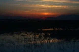 黎明，黄昏，雾，湖，风景，雾，户外，平静