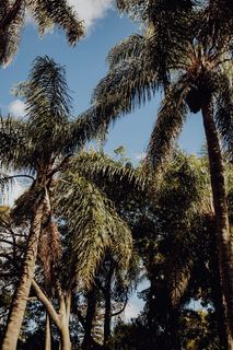 葡萄牙里斯本贝伦热带植物园