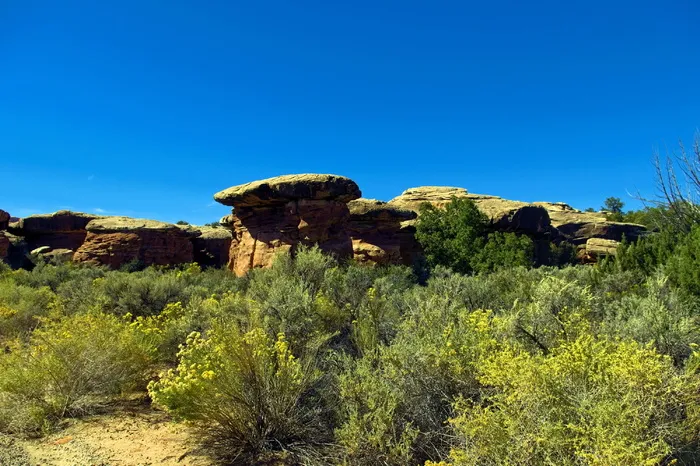 洞穴泉路地层，针叶区，峡谷国家公园，圣胡安县，滑石，砂岩，沙漠，景观