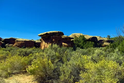 洞穴泉路地层，针叶区，峡谷国家公园，圣胡安县，滑石，砂岩，沙漠，景观