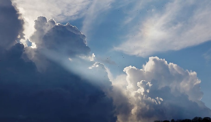 天空，云，太阳光，蓝色，自然，云天，自然之美，低视角