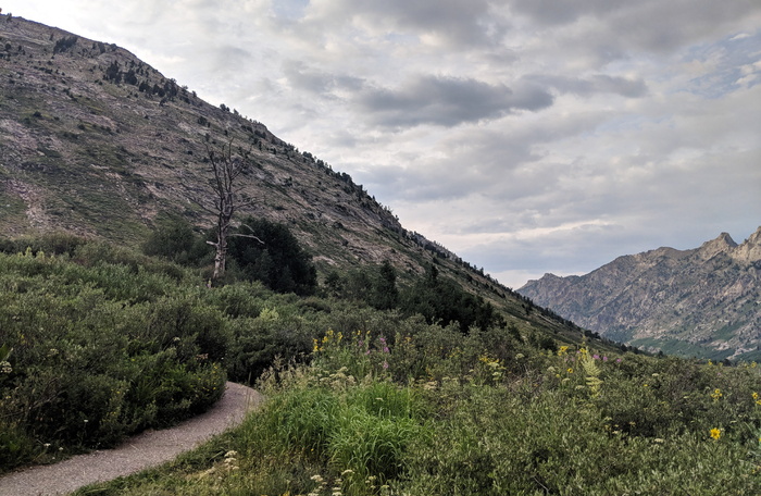 美国，spring creek，nf-660，山，天空，自然之美，scenics-自然，植物