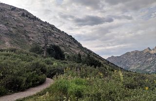 美国，spring creek，nf-660，山，天空，自然之美，scenics-自然，植物