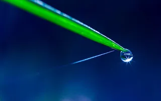 水、草、露水、水滴