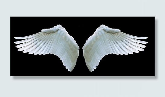 两只白色的翅膀，翅膀，天使，天鹅，白色，秋千，羽毛，象征