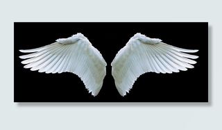 两只白色的翅膀，翅膀，天使，天鹅，白色，秋千，羽毛，象征