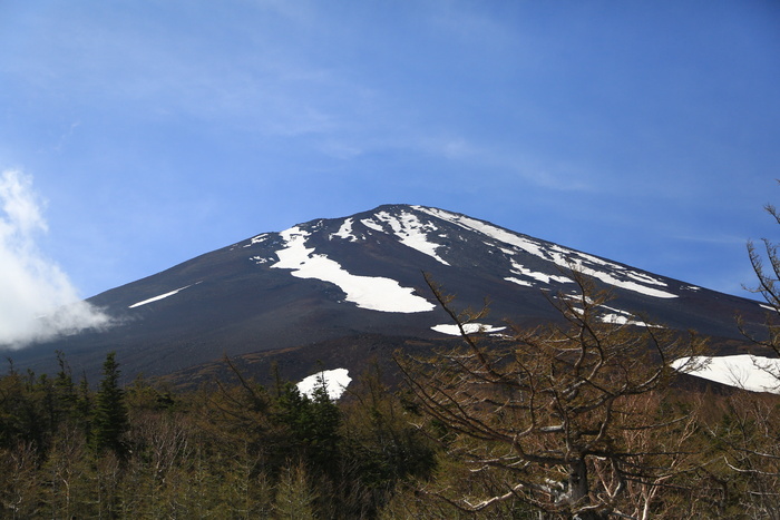 雪山，富士山，风景，山，天，雪，风景-自然，自然之美