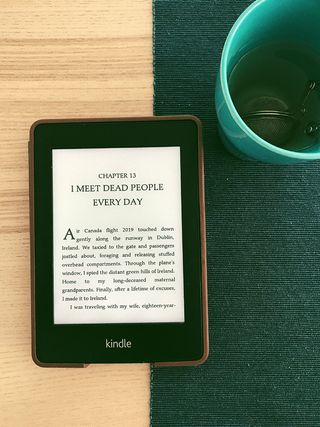 文本，迈阿密海滩，1600 meridian ave，美国，陶器，植物，杯子，碟子