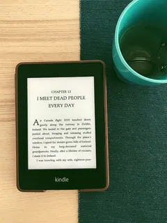 文本,迈阿密海滩,1600 meridian ave,美国,陶器,植物,杯子,碟子 文本,迈阿密海滩,1600 meridian ave,美国,陶器,植物,杯子,碟子