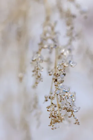 水晶，植物，玻璃，冰，户外，自然，花粉，水滴