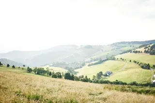 风景摄影，小山，雾，天空，棕色，草地，开阔地，田野