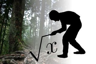 平方根，数学，根，x，未知，树，一个人，轮廓